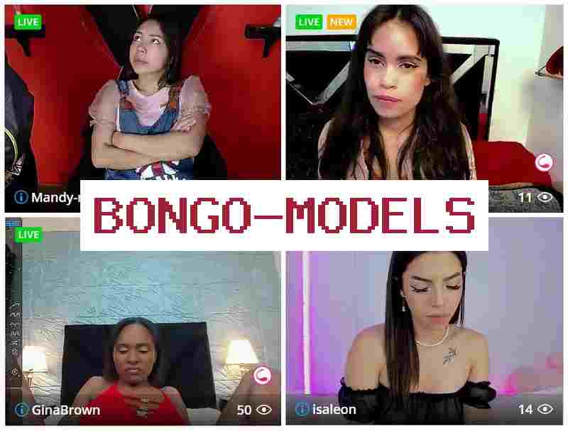 Бонго Молелс 💲 Заработок  веб моделью онлайн 