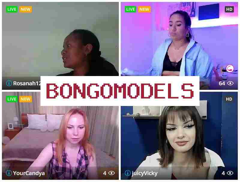 Бонгомделс 🔵 Заработок  в веб-чате для женщин и парней